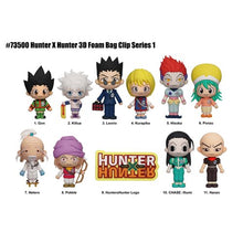 Load image into Gallery viewer, Hunter x Hunter Series 1 3D Foam Bag Clip
