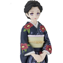 Load image into Gallery viewer, Demon Slayer: Kimetsu no Yaiba Tamayo Vol. 22
